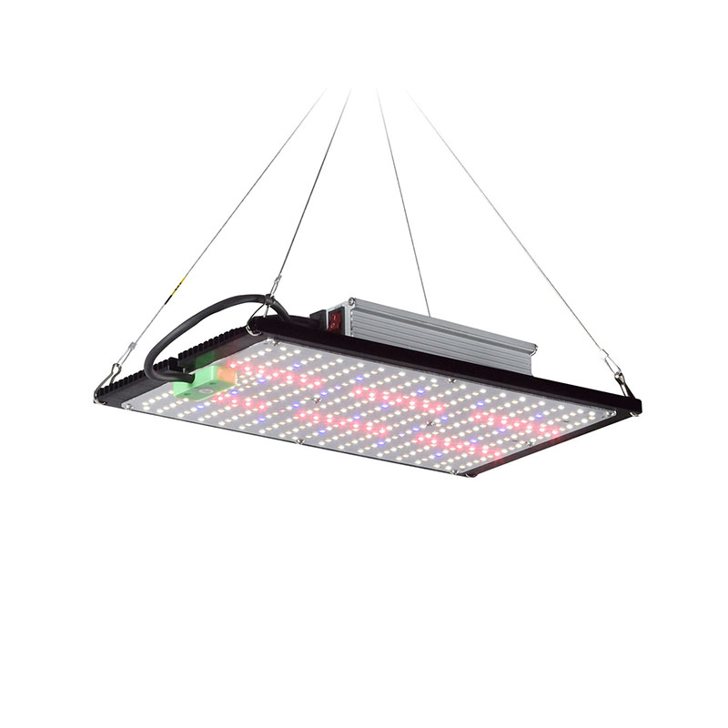 Indoor Plants - Luz de Cultivo LED Quantum-Board de