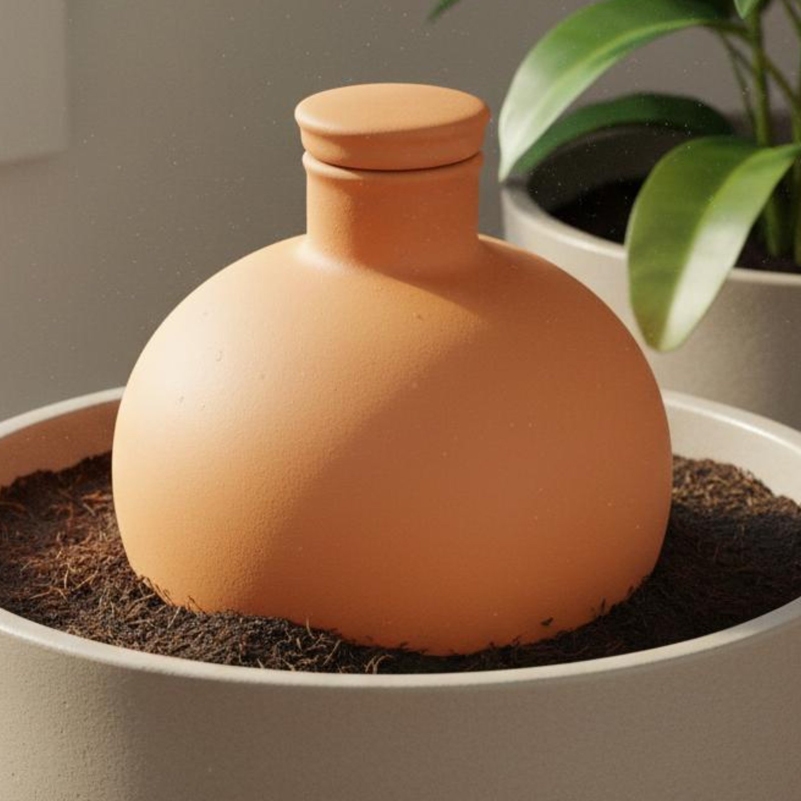Terracotta Pot - 2 Peças de Olla de Terracota