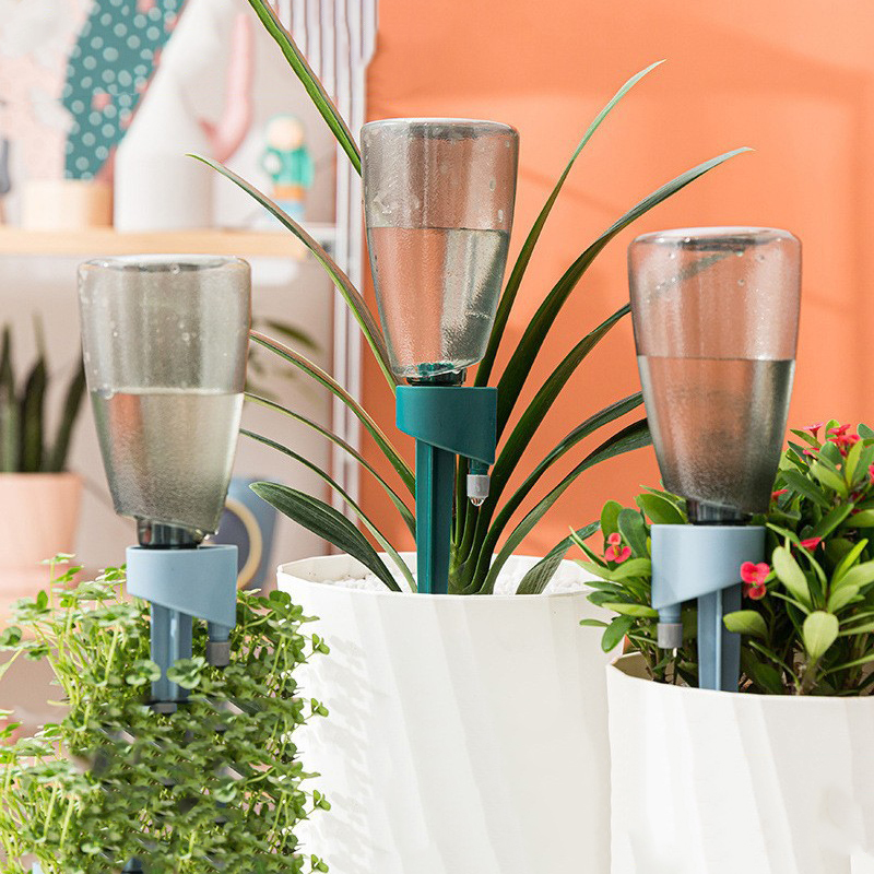 Succulent Set - Novo dispositivo automático de rega de