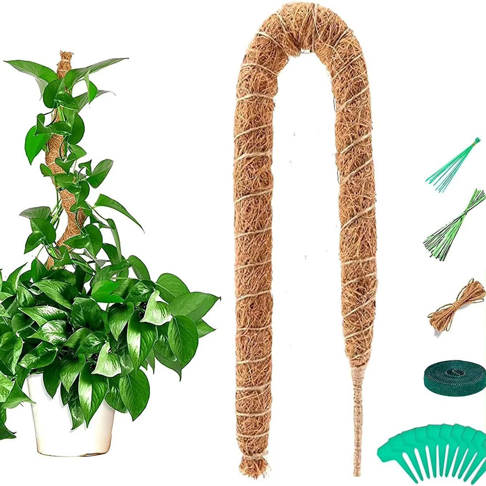Pothos - Suporte para Plantas em Vaso de