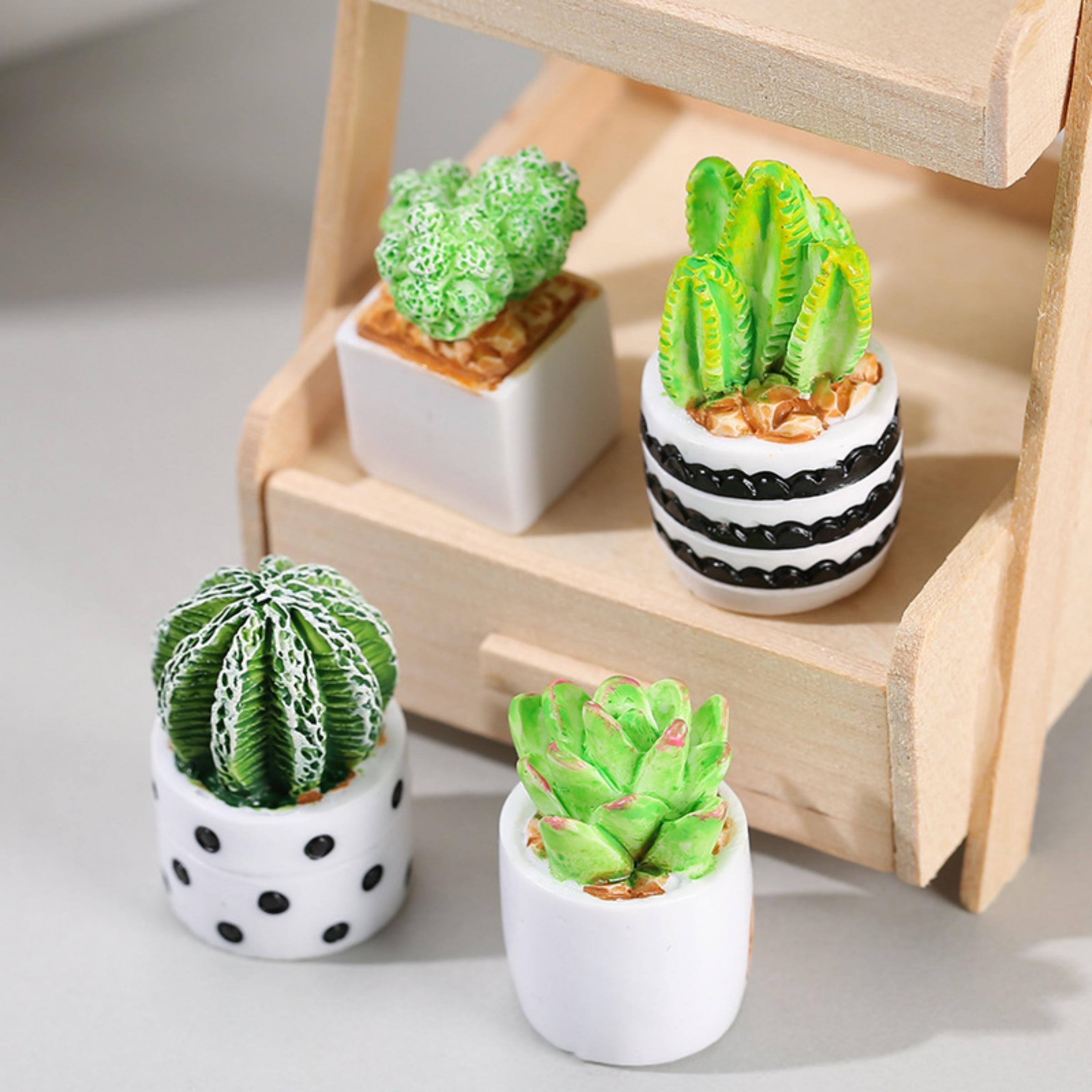 Succulent Set - Conjunto de 4 Peças de Plantas