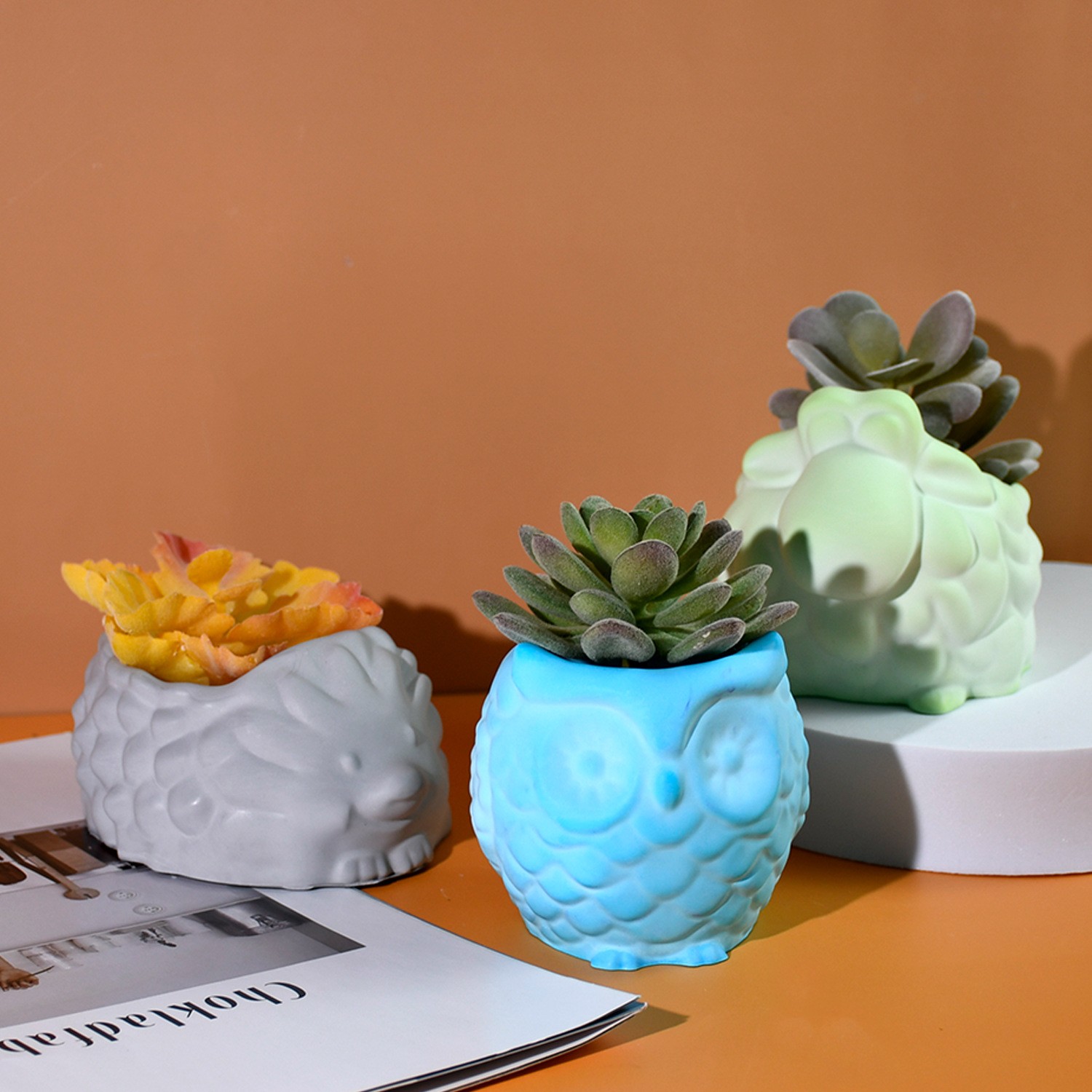 Molde de silicone para vaso de - Succulent Set avaliação e preço