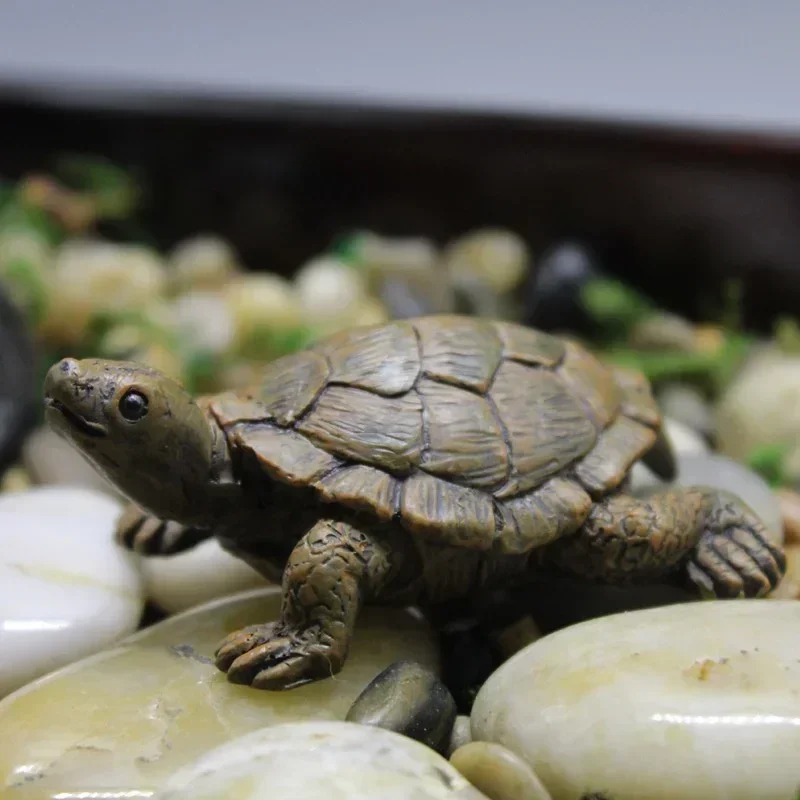 Simulação de resina pequena ta - Succulent Set avaliação e preço