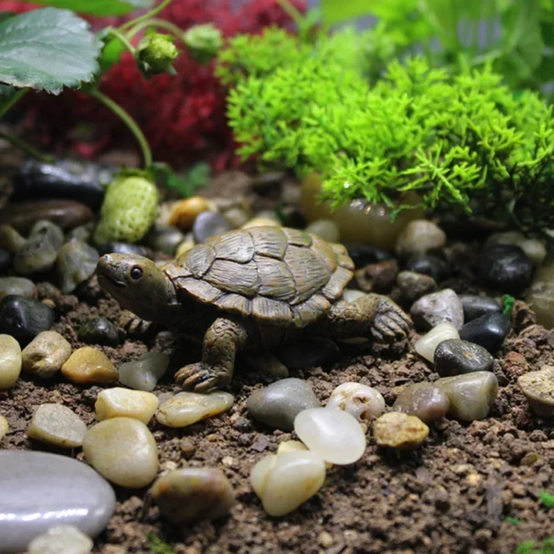 Simulação de resina pequena ta - Succulent Set avaliação e preço