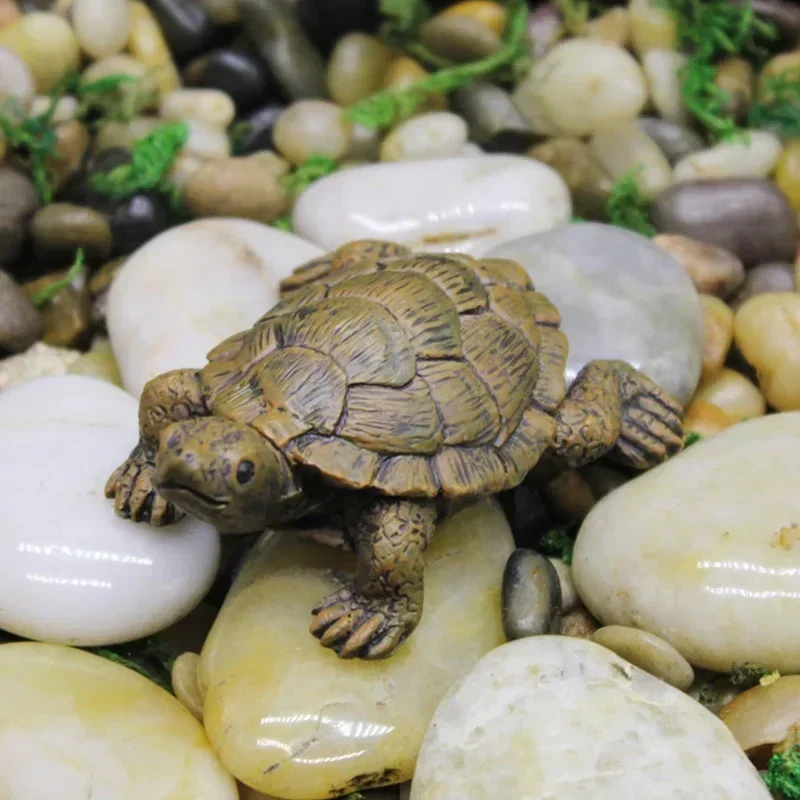 Simulação de resina pequena ta - Succulent Set avaliação e preço