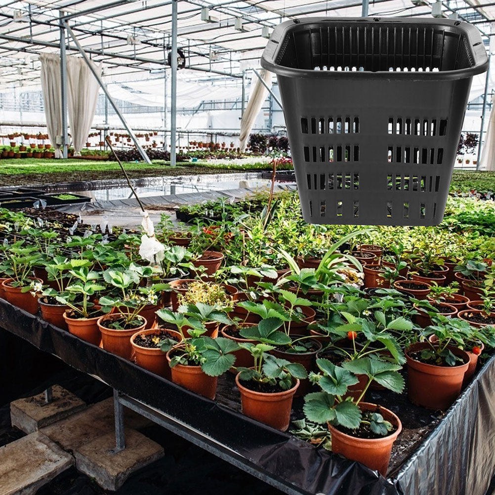 15 vasos de flores com sistema - Indoor Plants avaliação e preço
