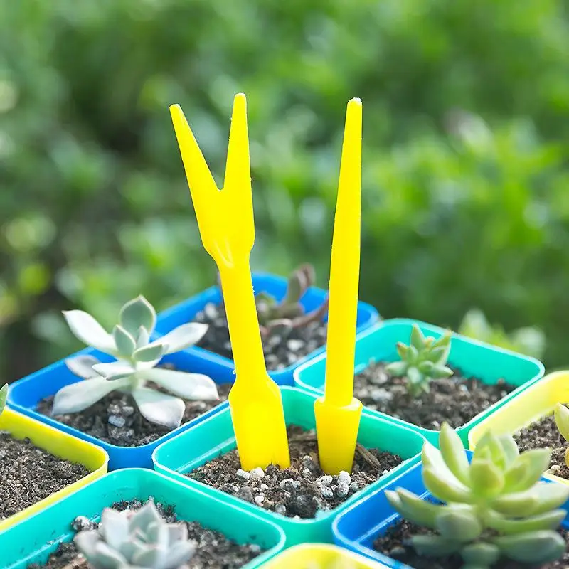 1/10 pçs semeadura suculentas  - Succulent Set avaliação e preço