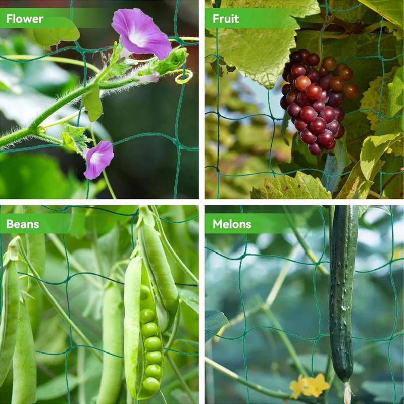 Rede treliça para plantas de e - Plant Support Stake avaliação e preço