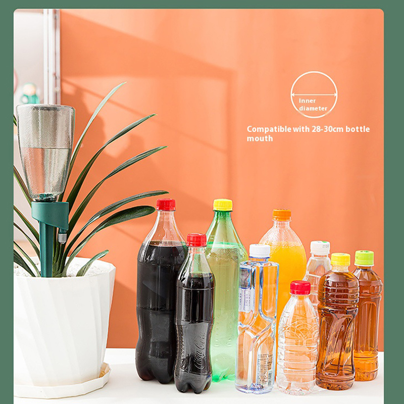 Novo dispositivo automático de - Succulent Set avaliação e preço
