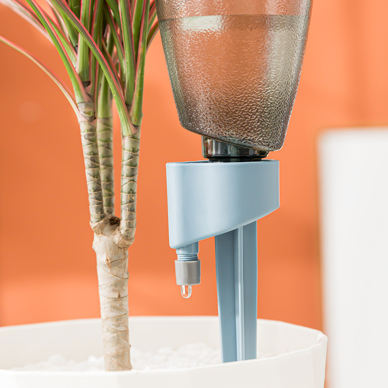 Novo dispositivo automático de - Succulent Set avaliação e preço