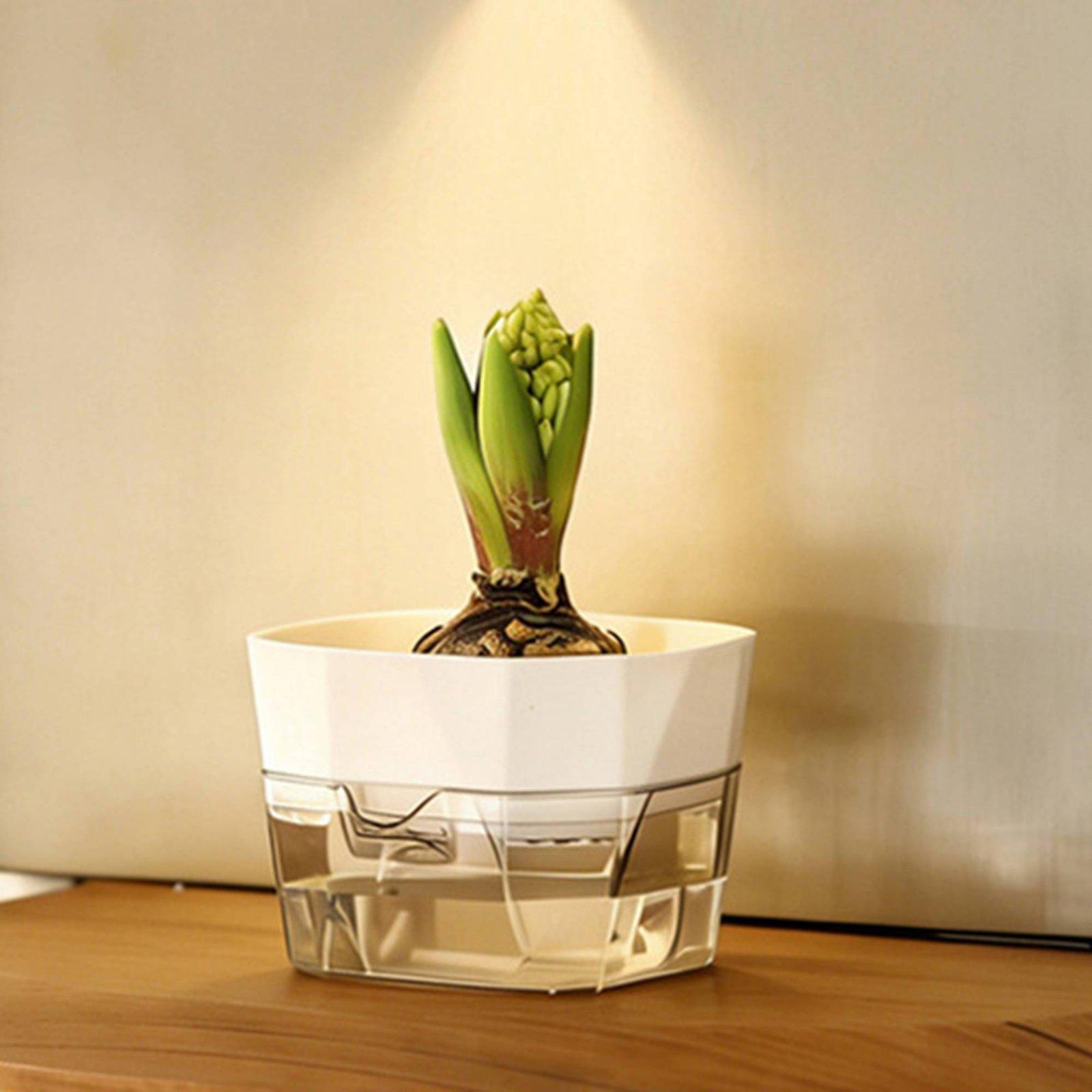 Vaso Hidropônico de Duas Camad - Plant Pot avaliação e preço