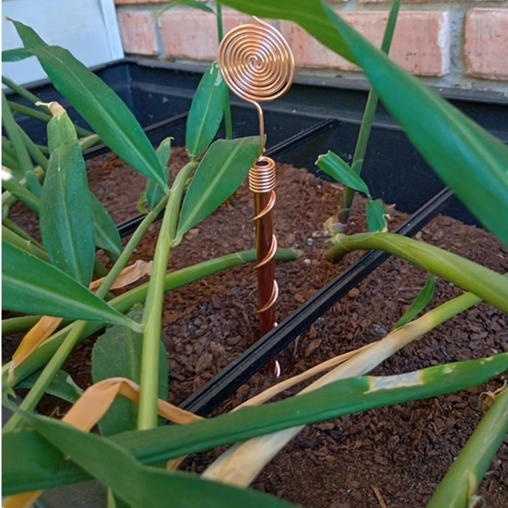 Estacas Espirais para Plantas  - Plant Support Stake avaliação e preço