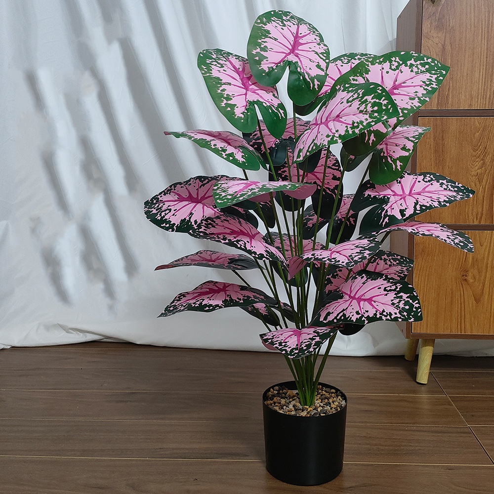 Folha rosa vasos de plantas ar - Snake Plant avaliação e preço