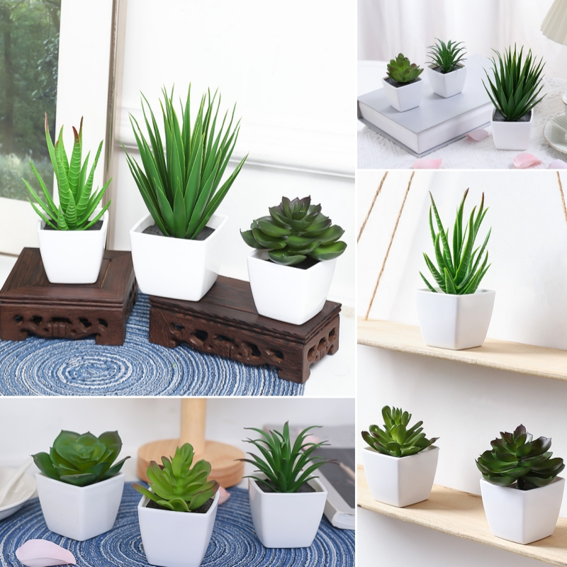(Um conjunto de 3 peças) mini  - Succulent Set avaliação e preço