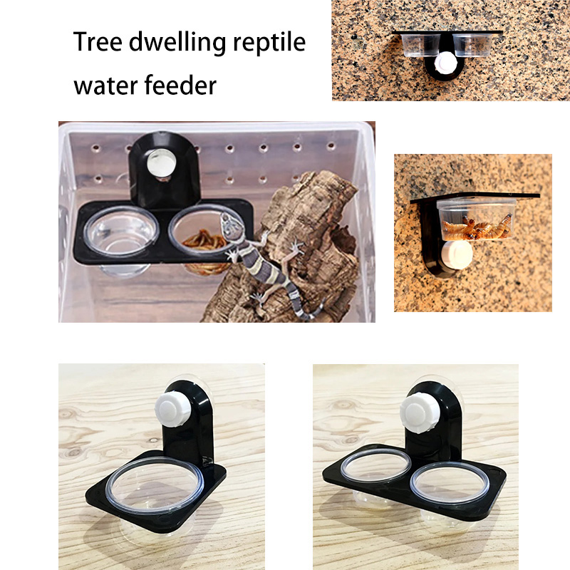 Acessórios para tanque de répt - Snake Plant avaliação e preço