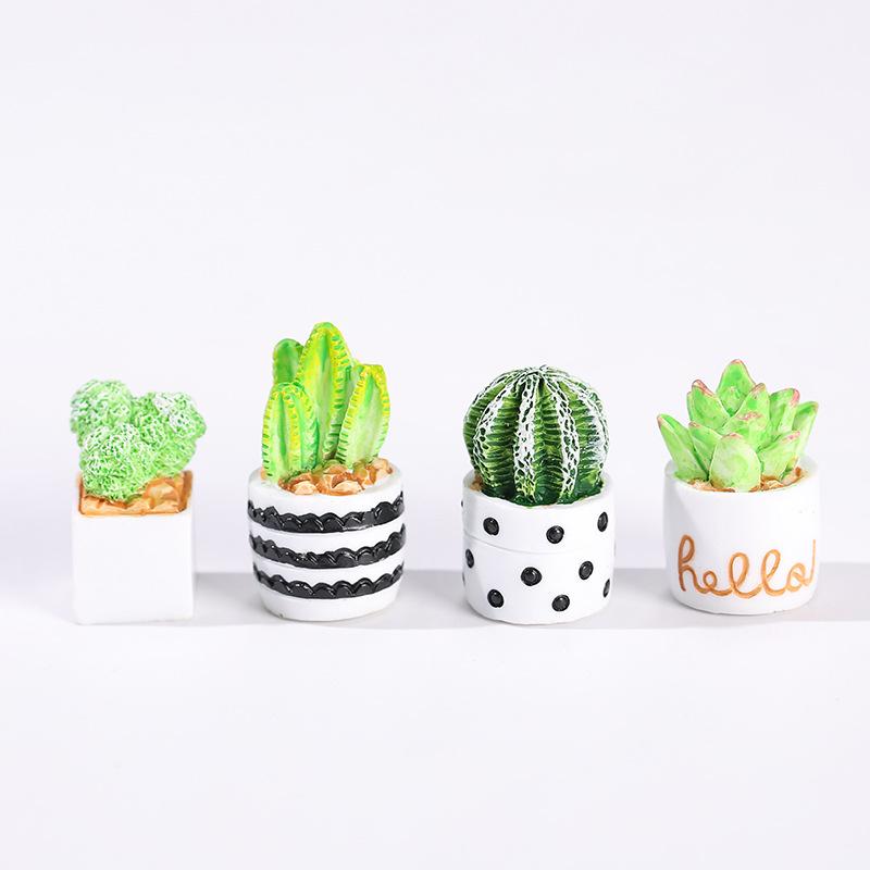 Conjunto de 4 Peças de Plantas - Succulent Set avaliação e preço