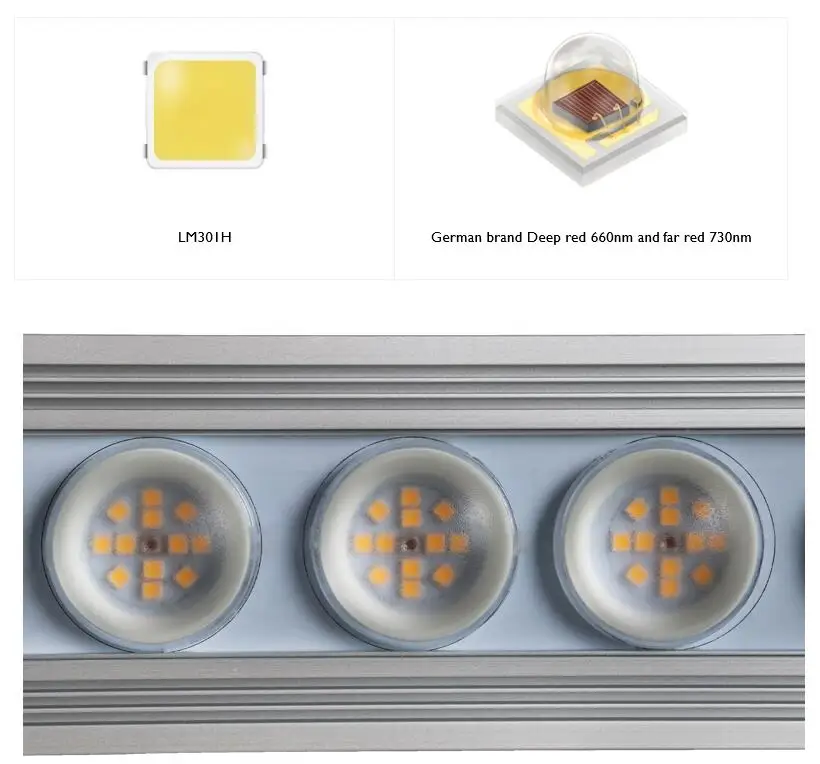 Luz de Cultivo LED de Espectro - Indoor Plants avaliação e preço
