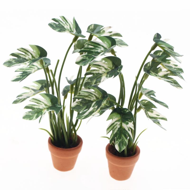 Novo. 1PC Planta Verde Monster - Plant Pot avaliação e preço