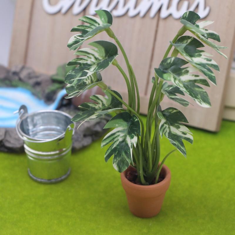Novo. 1PC Planta Verde Monster - Plant Pot avaliação e preço