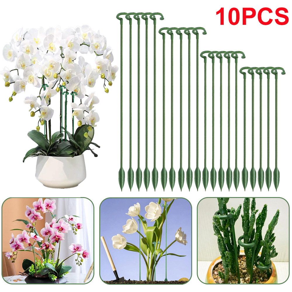 Suportes para Plantas em Vaso  - Succulent Set avaliação e preço