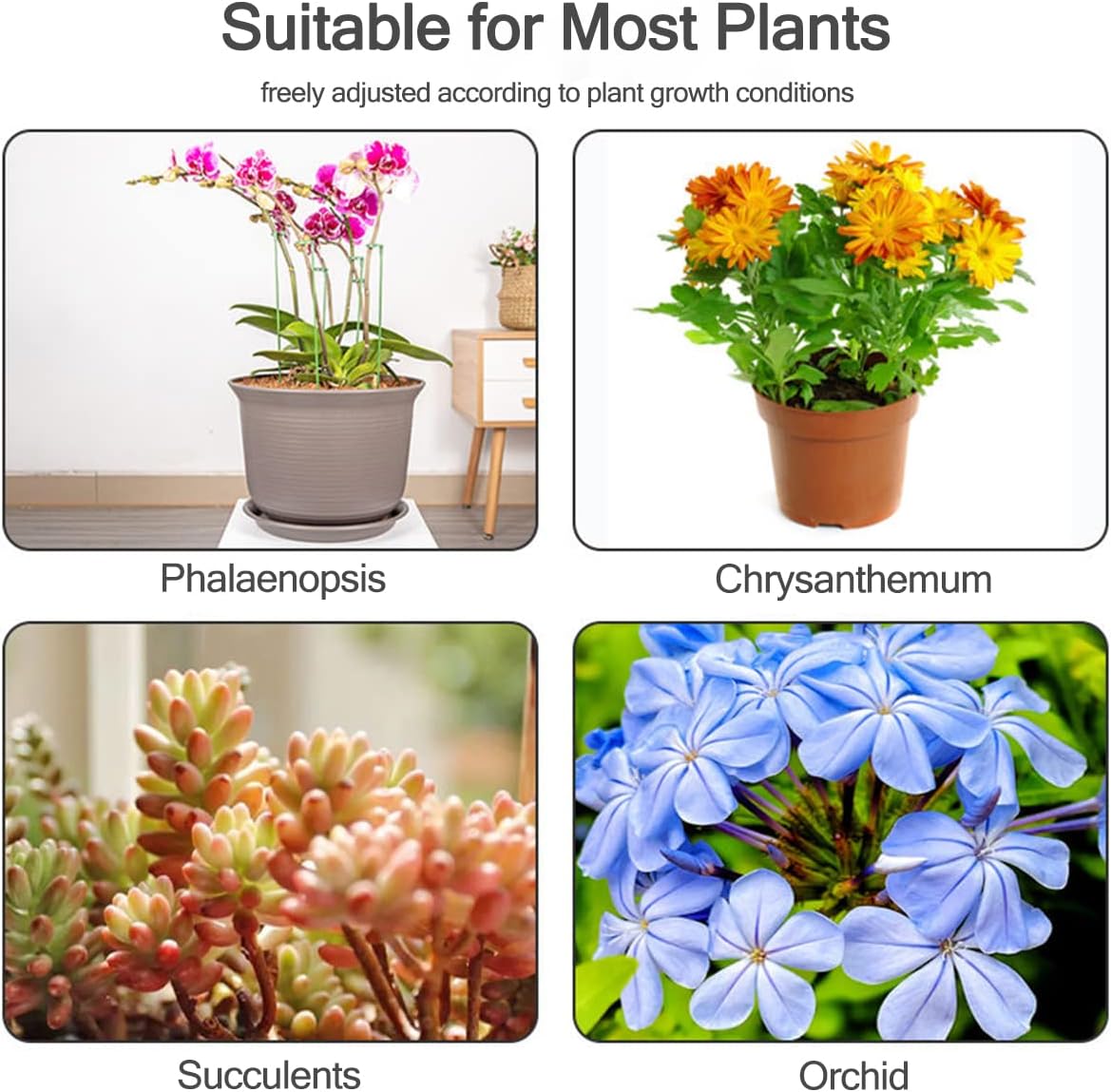 Suportes para Plantas em Vaso  - Succulent Set avaliação e preço