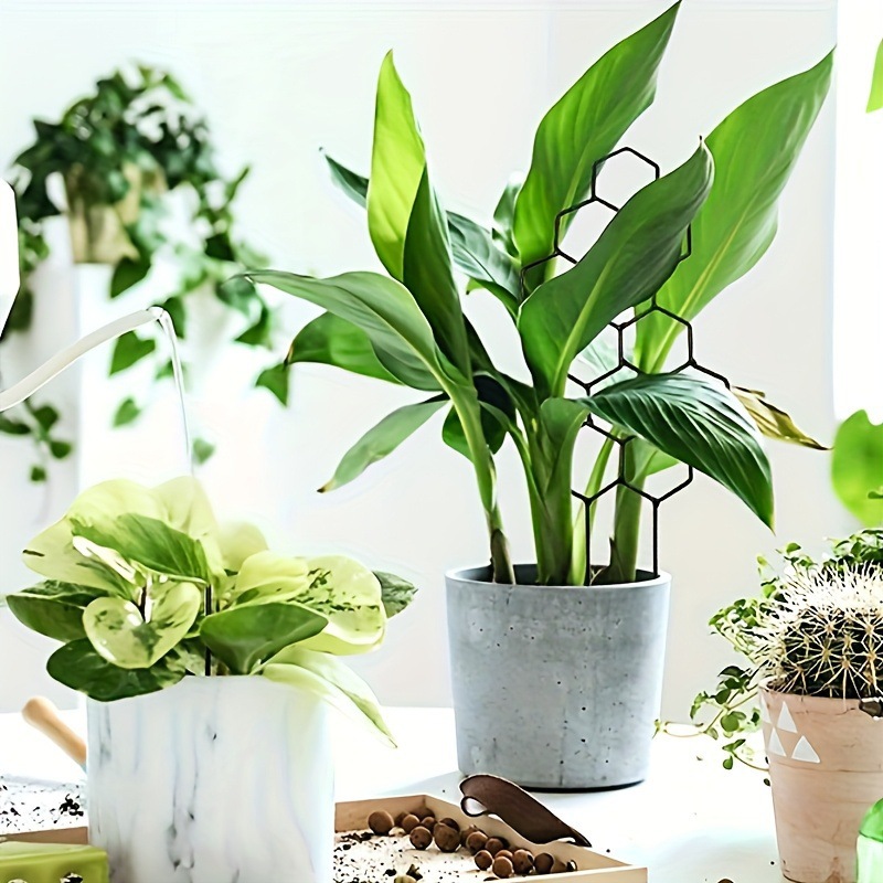 1PC Treliça para Plantas com D - Terracotta Pot avaliação e preço