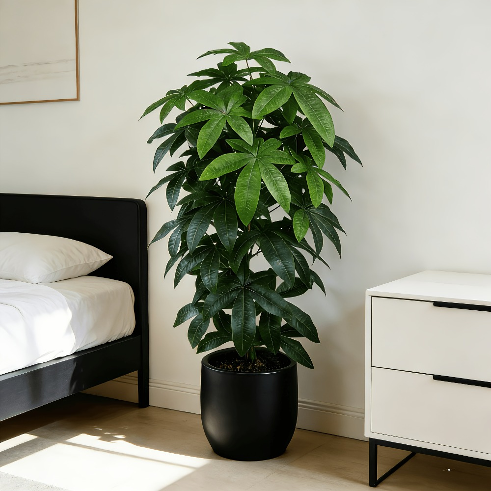 Árvore do Dinheiro Artificial  - Snake Plant avaliação e preço