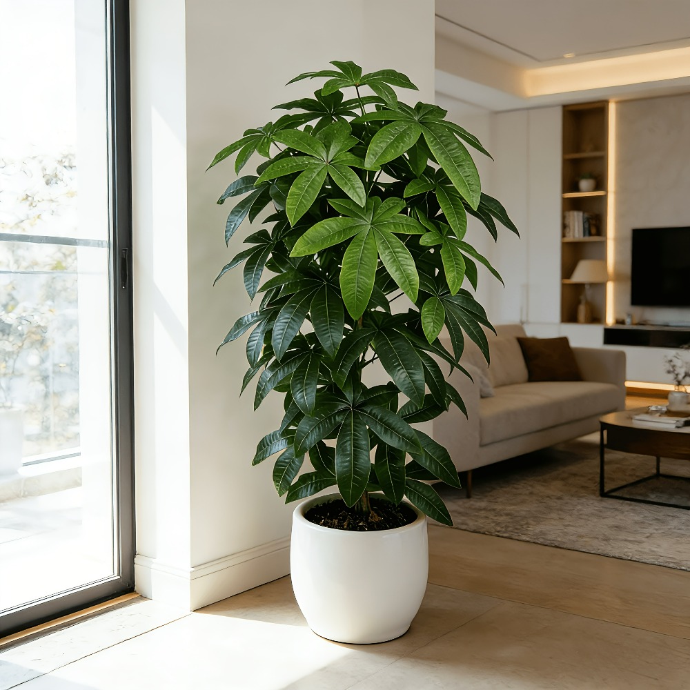 Árvore do Dinheiro Artificial  - Snake Plant avaliação e preço